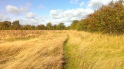 The normal view as we walked.