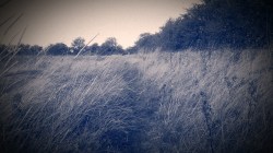 The view I felt it was like.